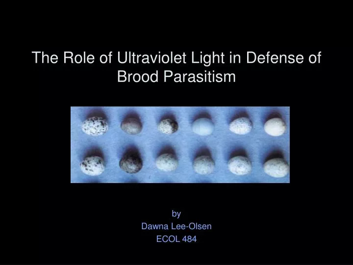 the role of ultraviolet light in defense of brood parasitism