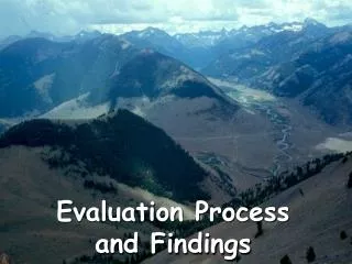 Evaluation Process and Findings
