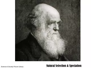 Natural Selection &amp; Speciation