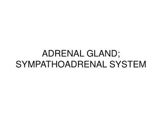 ADRENAL GLAND; SYMPATHOADRENAL SYSTEM