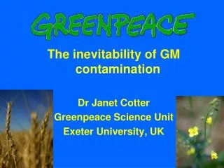 The inevitability of GM contamination Dr Janet Cotter Greenpeace Science Unit