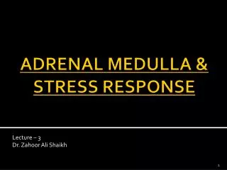 ADRENAL MEDULLA &amp; STRESS RESPONSE