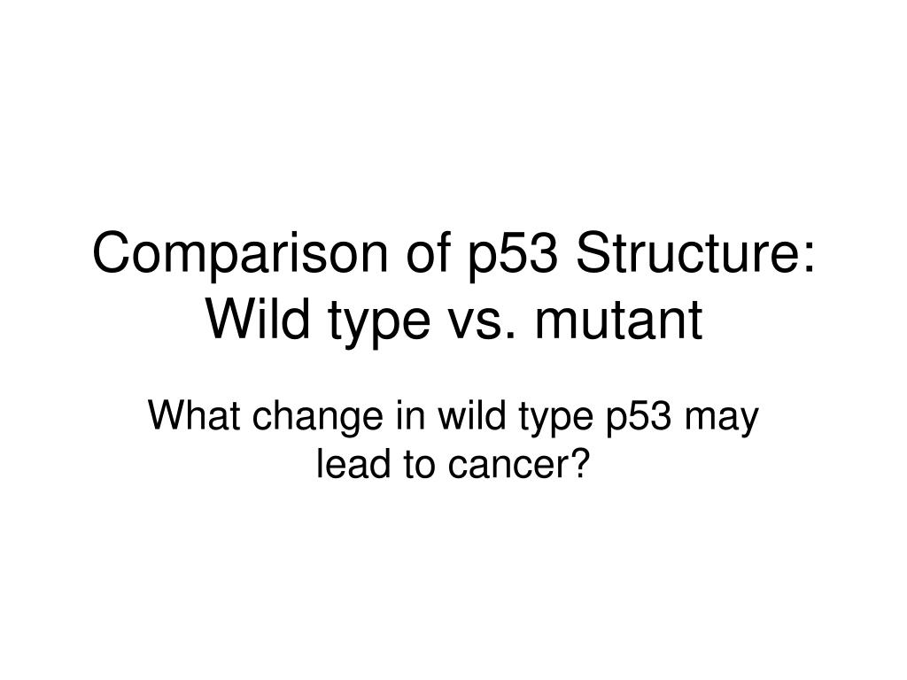 PPT - Comparison of p53 Structure: Wild type vs. mutant PowerPoint ...