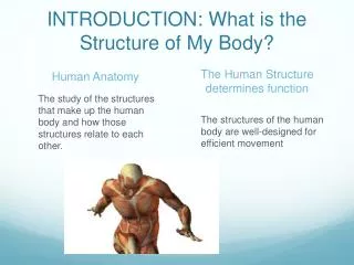 INTRODUCTION: What is the Structure of My Body?
