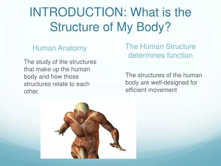 introduction what is the structure of my body