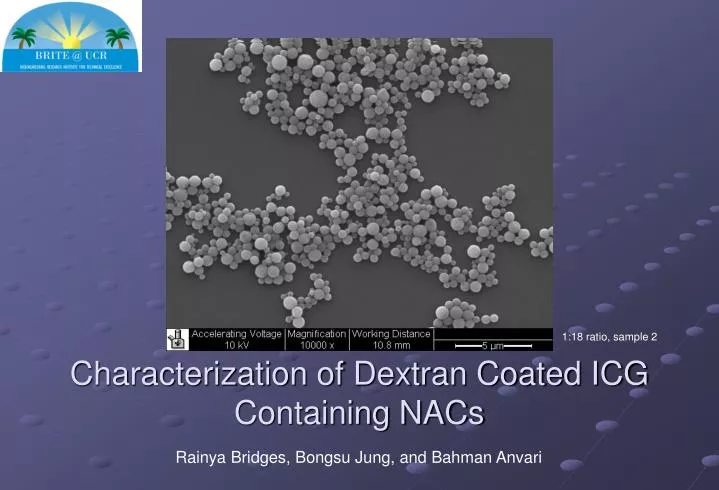 characterization of dextran coated icg containing nacs