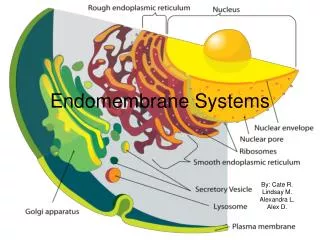 Endomembrane Systems