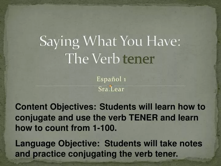saying what you have the verb tener