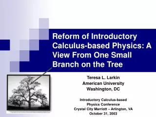 Reform of Introductory Calculus-based Physics: A View From One Small Branch on the Tree