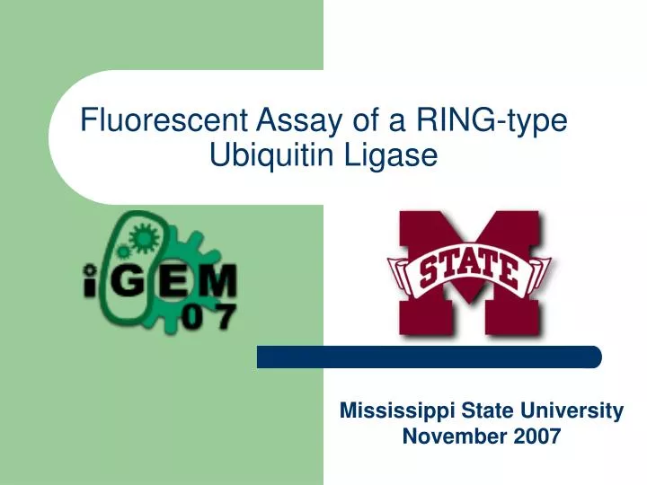 fluorescent assay of a ring type ubiquitin ligase