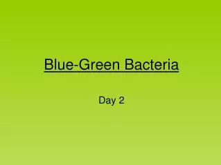 blue green bacteria