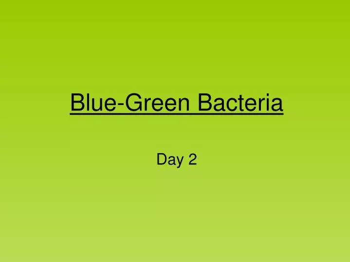 blue green bacteria
