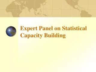 Expert Panel on Statistical Capacity Building