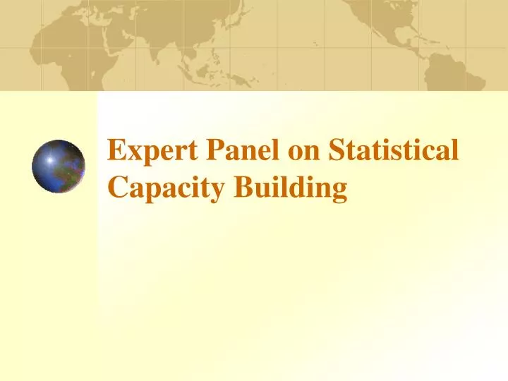 expert panel on statistical capacity building