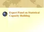 Expert Panel on Statistical Capacity Building - slide 1