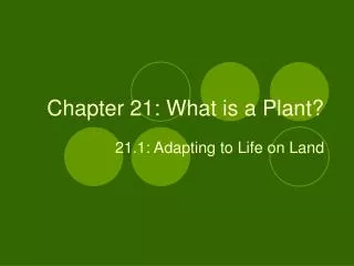 Chapter 21: What is a Plant?