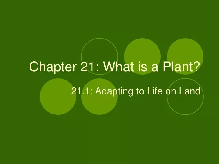 chapter 21 what is a plant