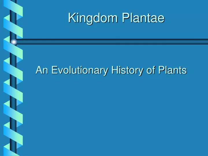 kingdom plantae