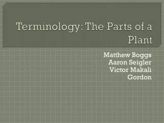 Terminology: The Parts of a Plant