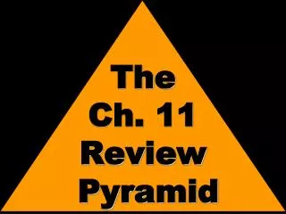 The Ch. 11 Review Pyramid