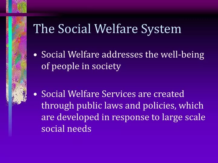 the social welfare system