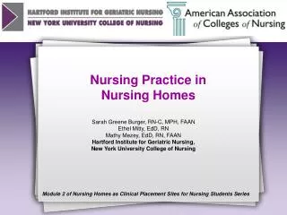 Nursing Practice in Nursing Homes