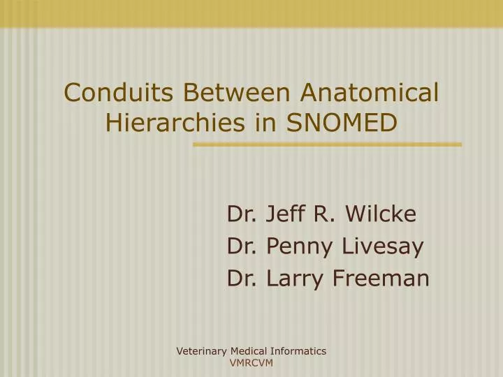 conduits between anatomical hierarchies in snomed