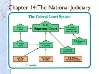 Chapter 14: The National Judiciary