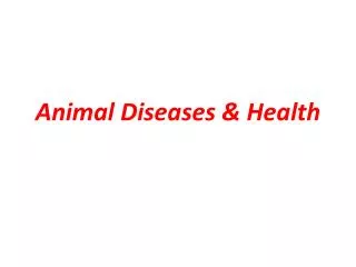 animal diseases health