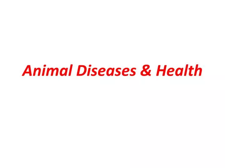 animal diseases health