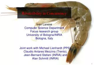 Reversibility in Concurrency