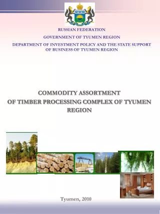 COMMODITY ASSORTMENT OF TIMBER PROCESSING COMPLEX OF TYUMEN REGION