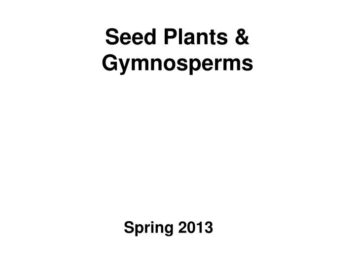 seed plants gymnosperms