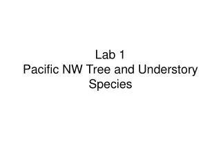 Lab 1 Pacific NW Tree and Understory Species