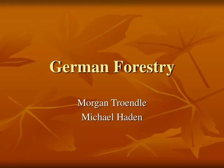 german forestry