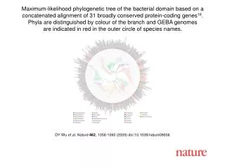 DY Wu et al. Nature 462 , 1056-1060 (2009) doi:10.1038/nature08 656