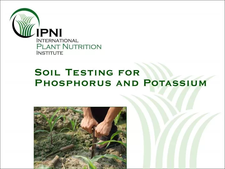 soil testing for phosphorus and potassium