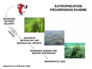 EUTROPHICATION PROGRESSION SCHEME