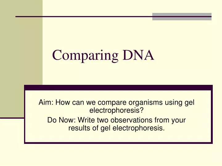 comparing dna