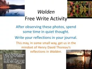 walden free write activity