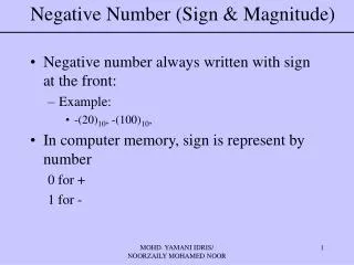 Negative Number (Sign &amp; Magnitude)