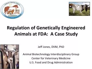 Regulation of Genetically Engineered Animals at FDA: A Case Study