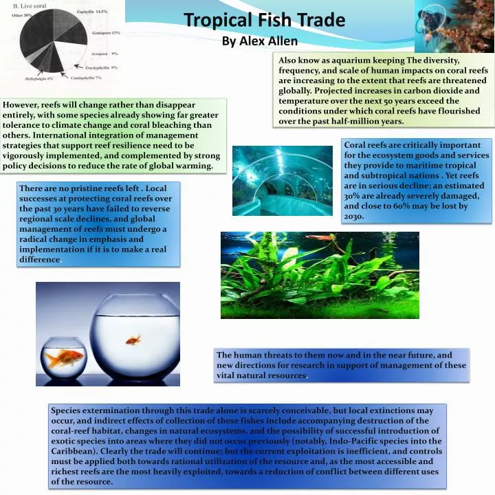 tropical fish trade by alex allen