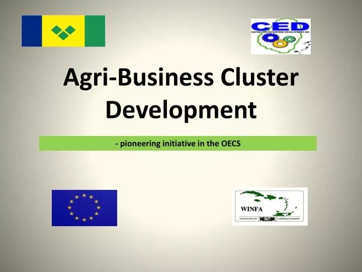 agri business cluster development