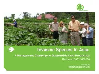 Invasive Species In Asia: