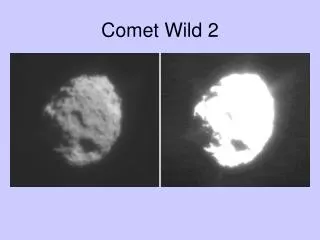 Comet Wild 2