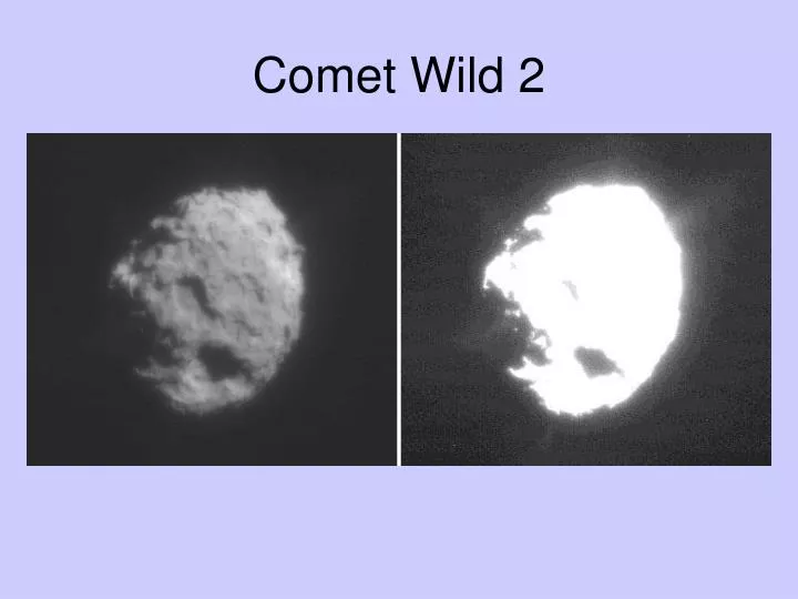 comet wild 2