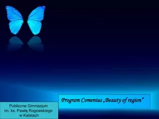 Program Comenius „Beauty of region”