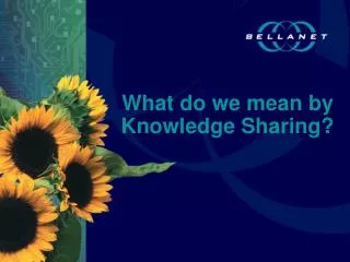 What do we mean by Knowledge Sharing?