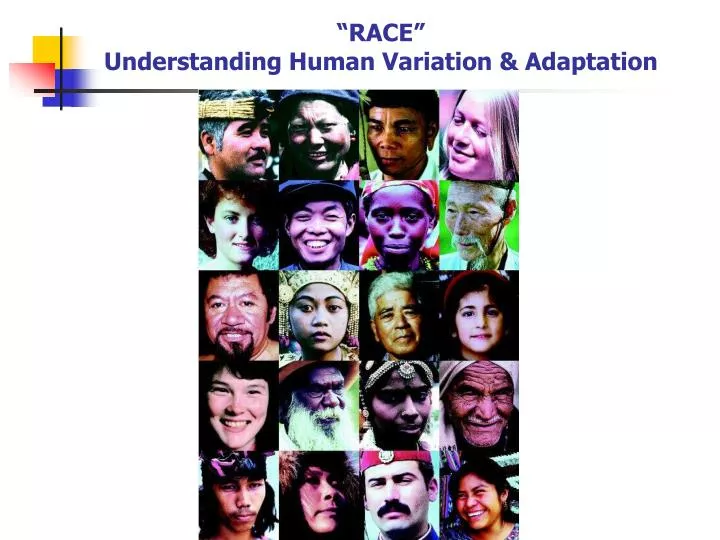 race understanding human variation adaptation